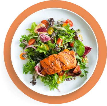 plate dish